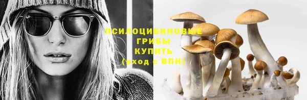 марки nbome Беломорск
