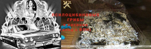MDMA Белокуриха