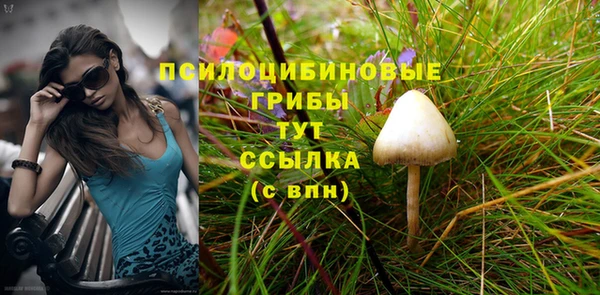 марки nbome Беломорск