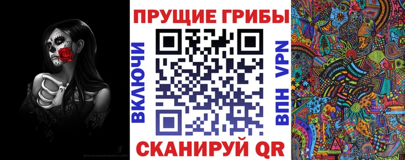 Купить где Ижевск Псилоцибиновые грибы Cubensis